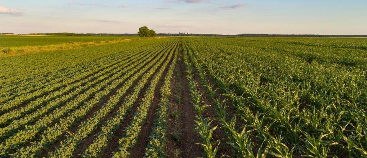 Agriculture et alimentation : Un projet de loi qui divise